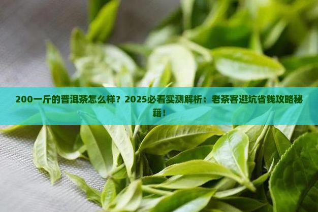 200一斤的普洱茶怎么样