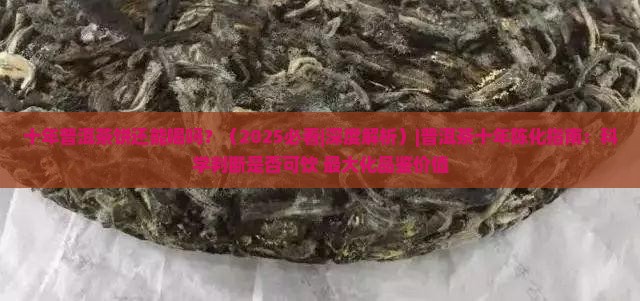 十年普洱茶饼还能喝吗
