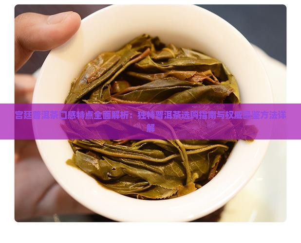 宫廷熟普洱茶的口感