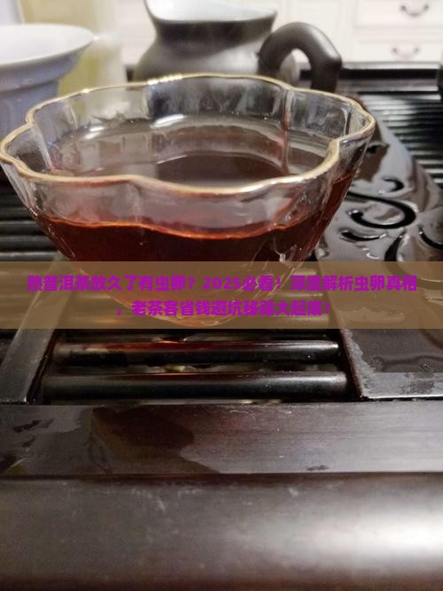 熟普洱茶放久了有虫卵 熟普洱茶放久了有虫卵