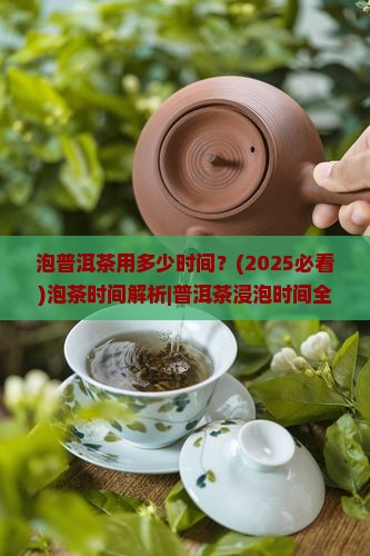 泡普洱茶用多少时间