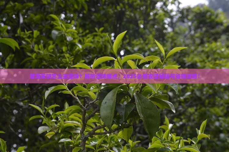 普洱茶饼怎么去涩味