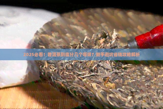普洱茶如何分几个等级划分