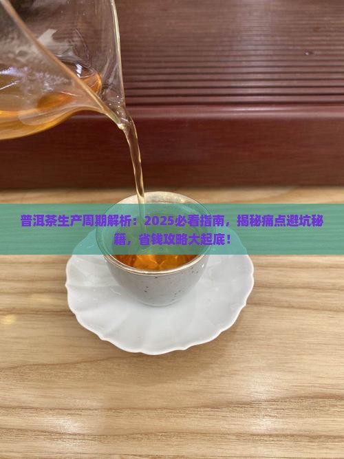 普洱茶生产周期