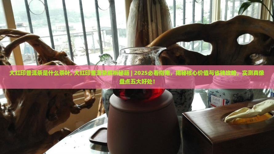 大红印普洱茶是什么茶叶