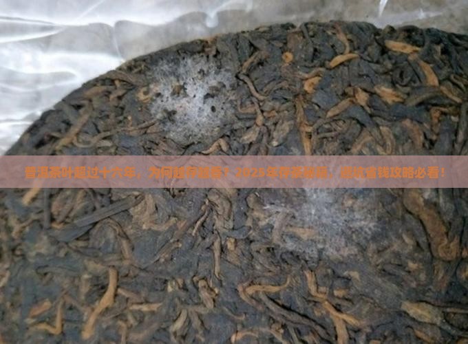 普洱茶叶超过十六年