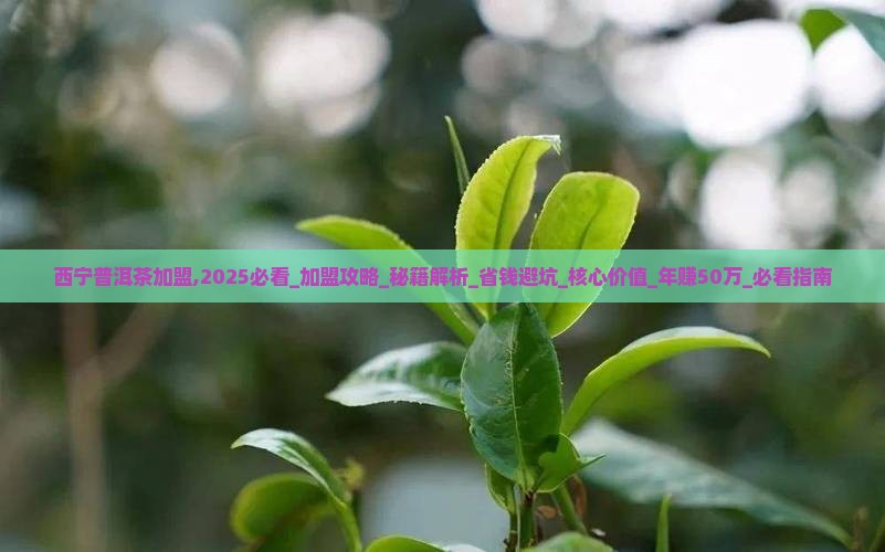 西宁普洱茶加盟