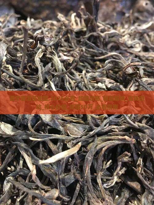 西宁普洱茶加盟