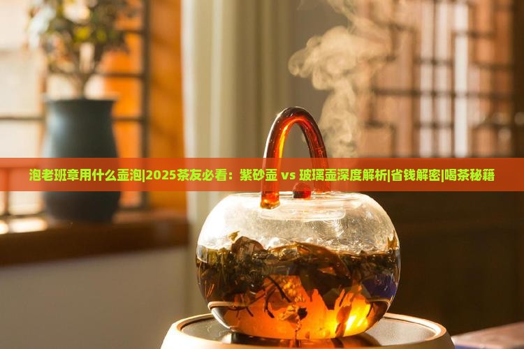 泡老班章用什么壶泡