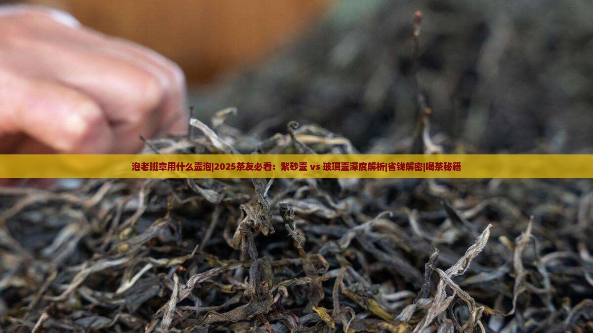 泡老班章用什么壶泡