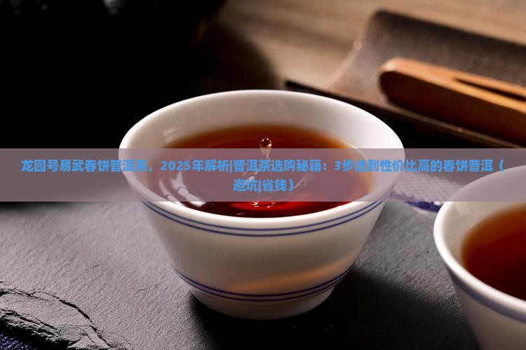 龙园号易武春饼普洱茶