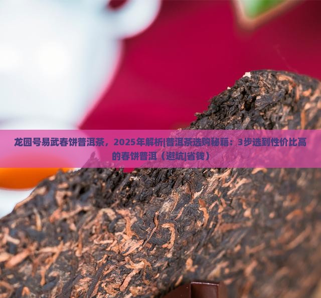 龙园号易武春饼普洱茶