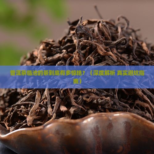 普洱茶临沧的茶有什么特点