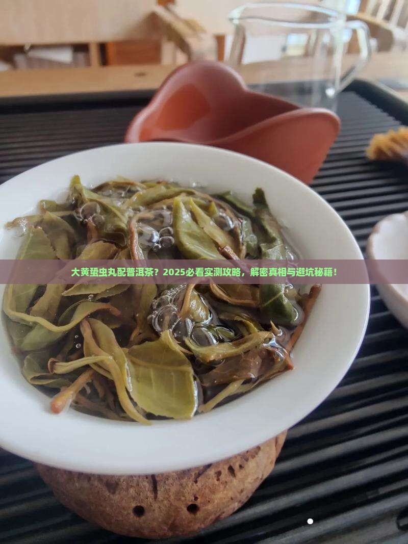 大黄蛰虫丸可以喝普洱茶吗