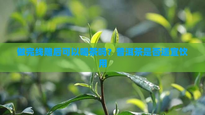 线雕后能喝普洱茶吗