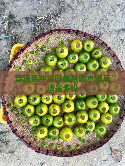 普洱茶冲泡用多少度水