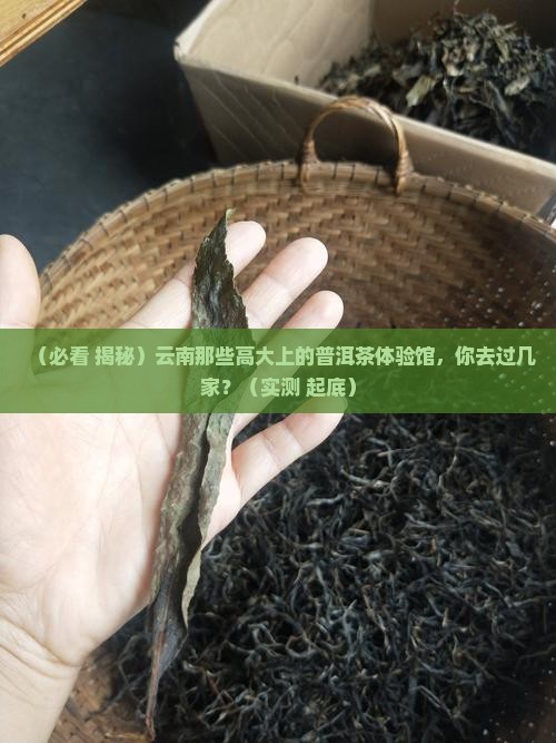 云南高端普洱茶体验馆有哪些