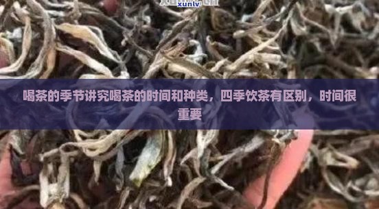 喝茶的季节讲究喝茶的时间和种类