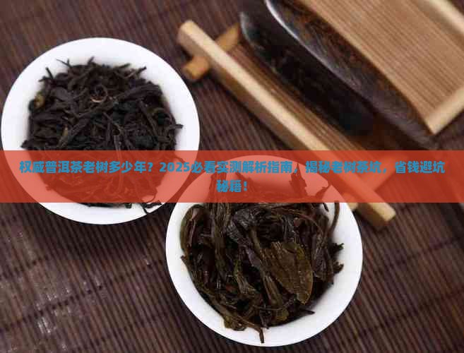 权威普洱茶老树多少年