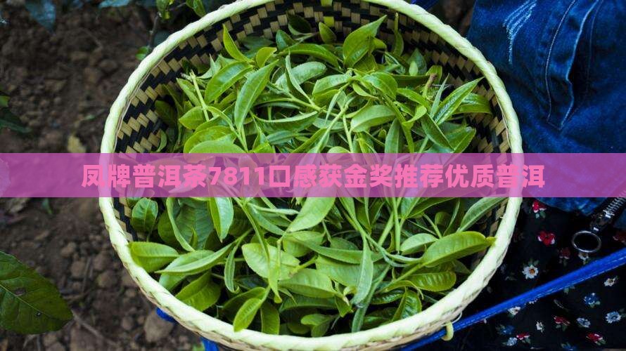 凤牌普洱7811口感