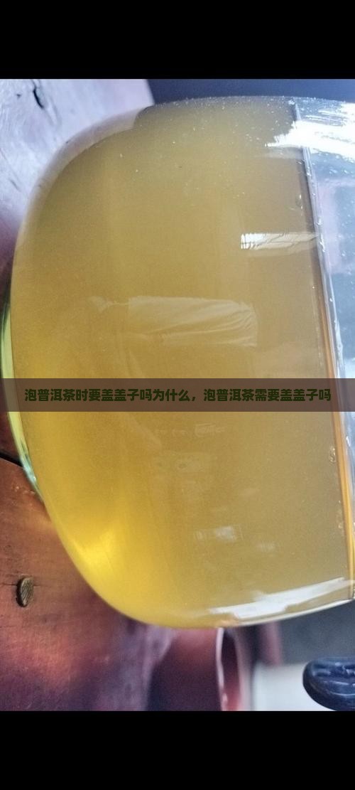 泡普洱茶时要盖盖子吗为什么