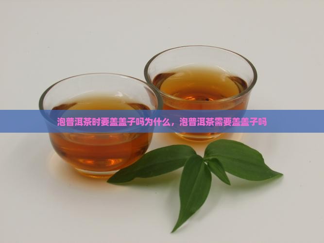 泡普洱茶时要盖盖子吗为什么