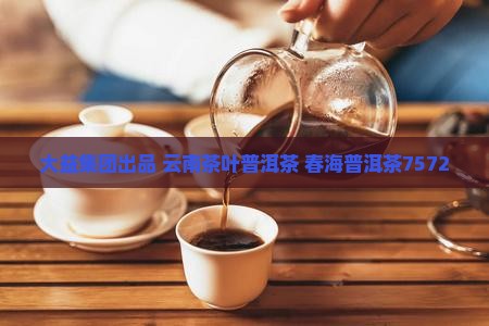 春海普洱茶7572