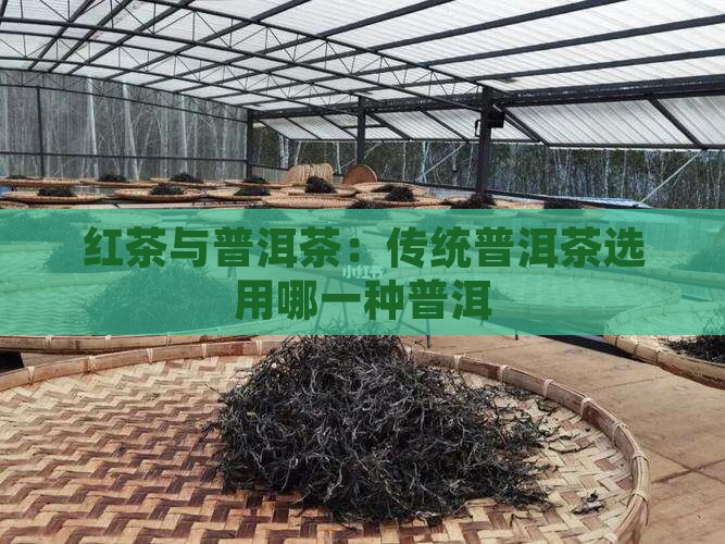 传统普洱茶选用哪一种红茶
