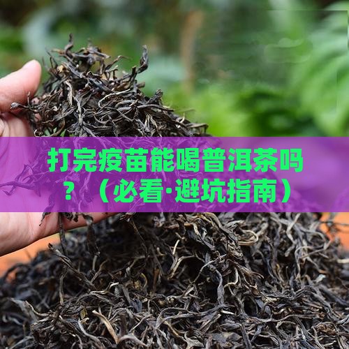 打完疫苗喝普洱茶好吗