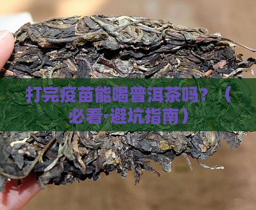 打完疫苗喝普洱茶好吗