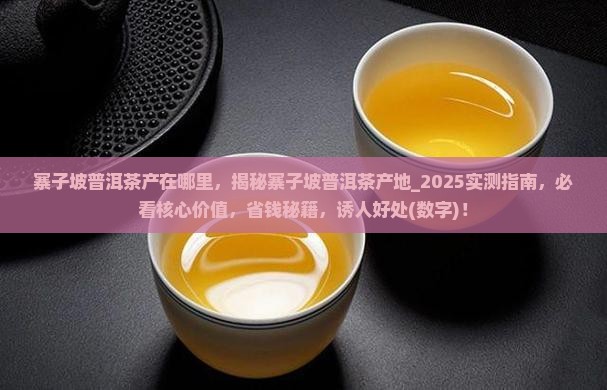 寨子坡普洱茶产在哪里