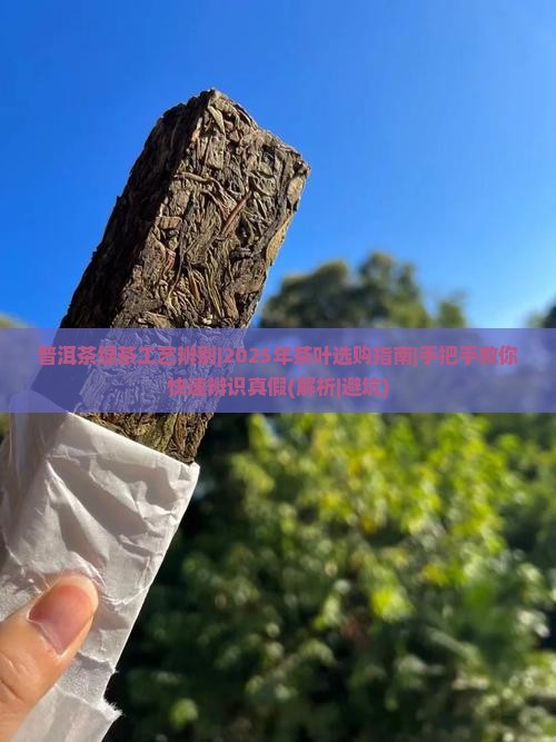 普洱茶绿茶工艺辨别