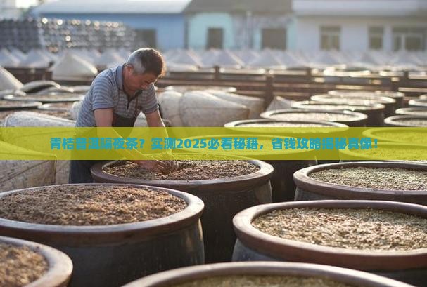 青桔普洱茶能喝隔夜茶