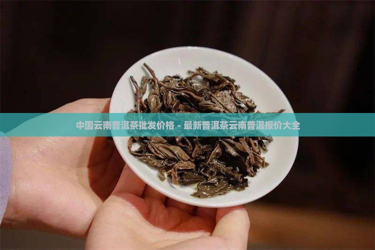 中国云南普洱茶批发价格