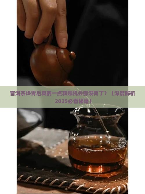 普洱茶烘青后不能转化了