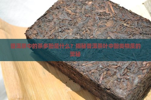 普洱茶中的茶多酚是什么