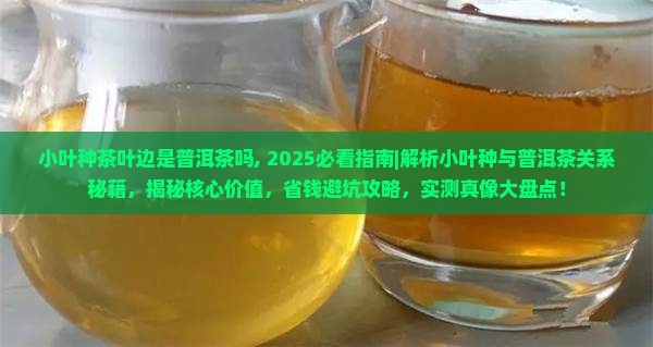 小叶种茶叶边是普洱茶吗