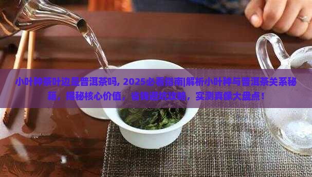 小叶种茶叶边是普洱茶吗