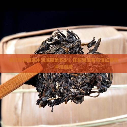 滇红和普洱茶冲泡温度