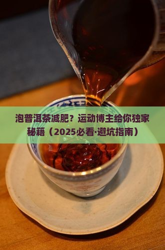 泡普洱茶减肥运动推荐博主