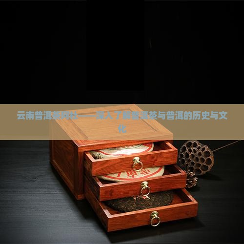 云南普洱茶阿杜