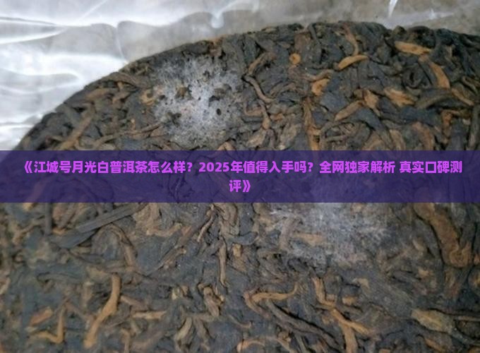 江城号月光白普洱茶