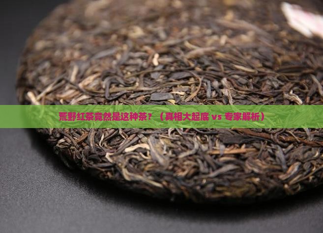荒野红茶是什么茶