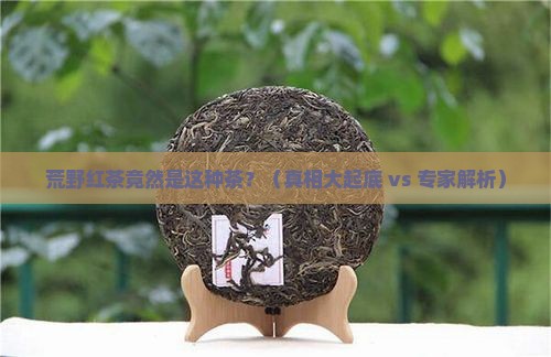 荒野红茶是什么茶