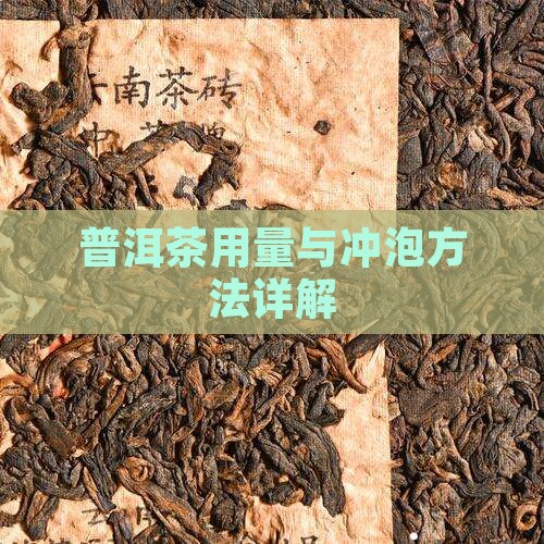 普洱茶用量与喝法