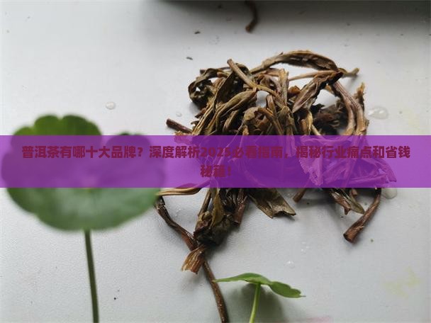 普洱茶有哪十大品牌
