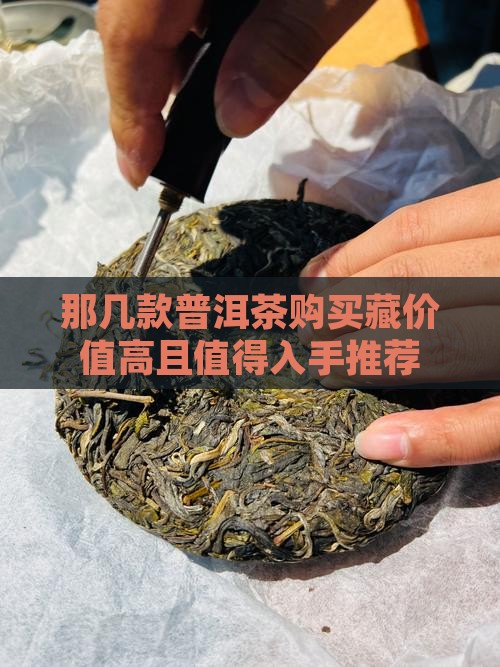 那几款普洱茶购买藏价值