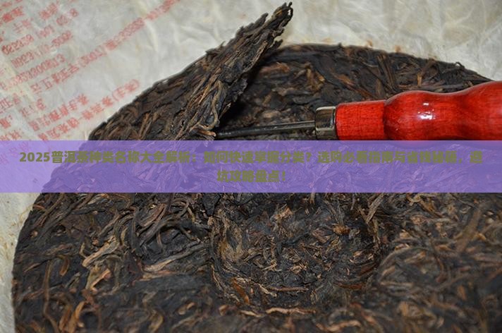 普洱茶种类名称大全