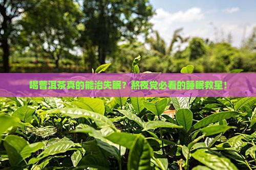 喝普洱茶治疗失眠