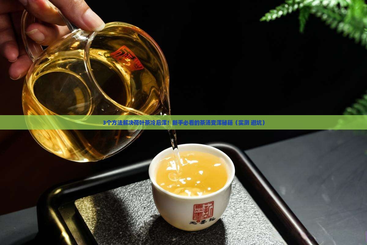 荷叶茶的作用茶汤冷后浑怎么解决
